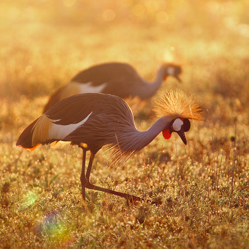 感谢有你，益起守护