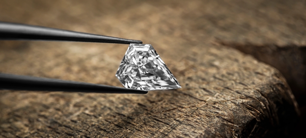 斐登耀目呈现全新高级珠宝系列和“Hero Cut”钻石切割工艺图片来源：斐登