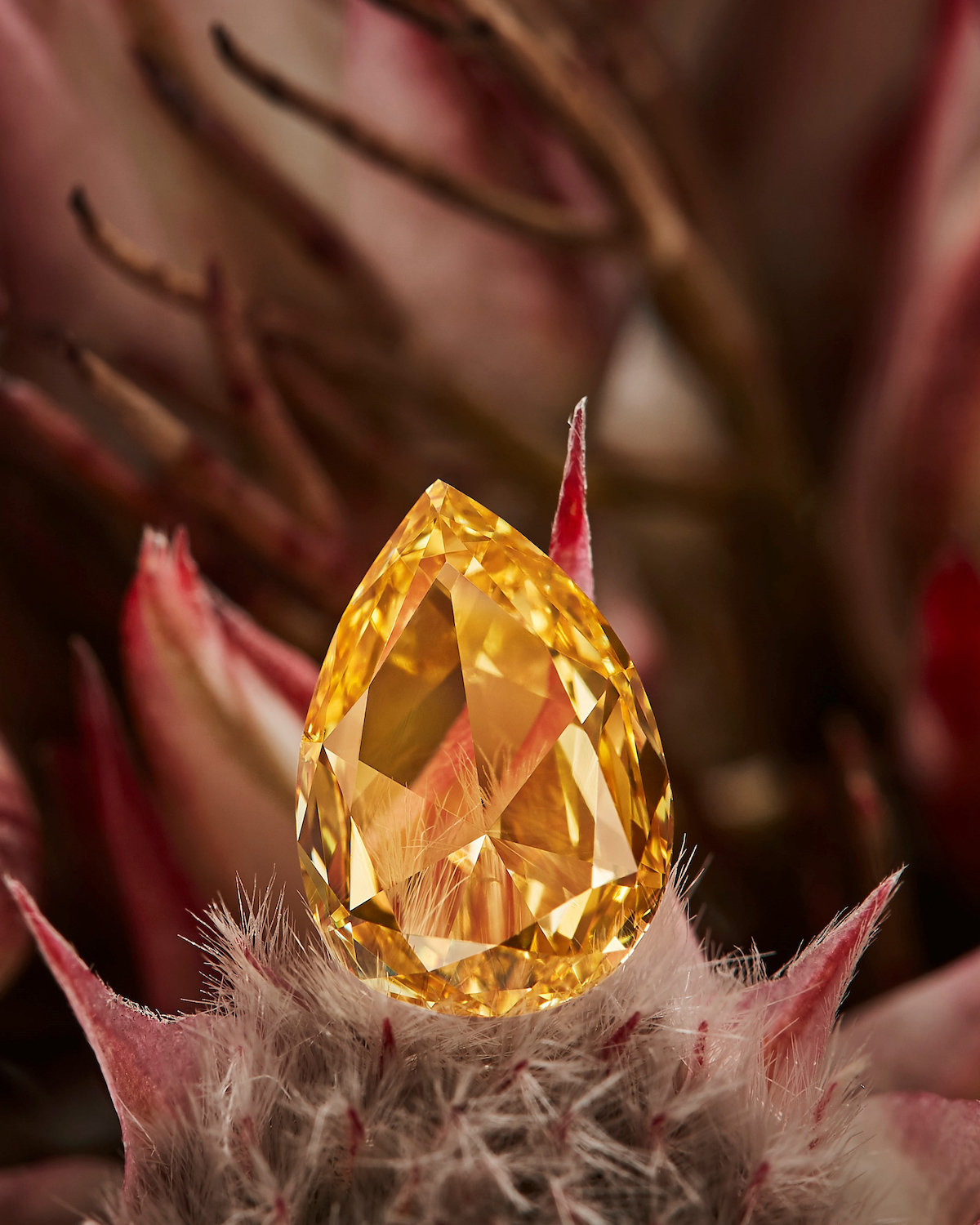 Maison Mazerea倾心打造全球首个“高定钻石之家”