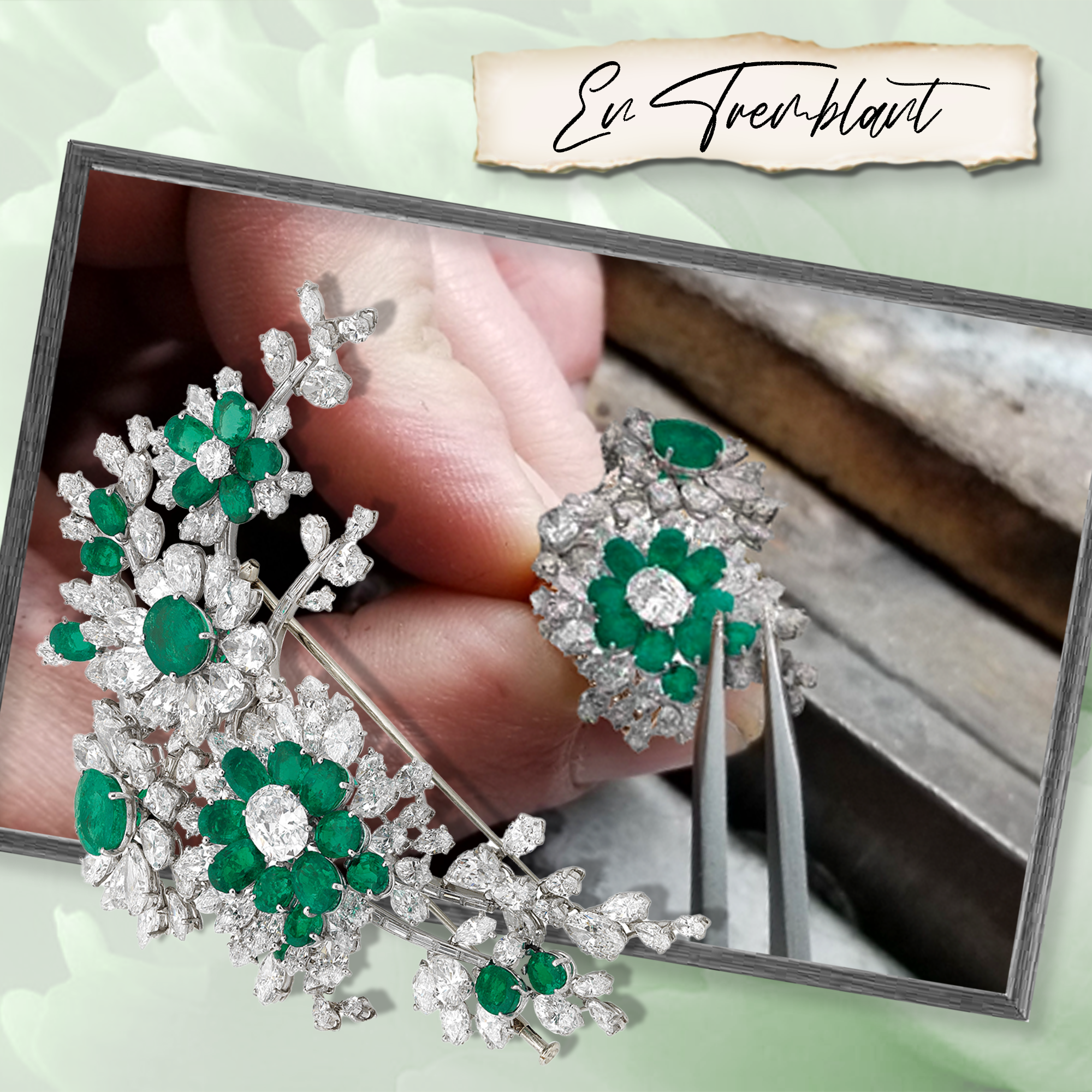 闪耀的颤动之美