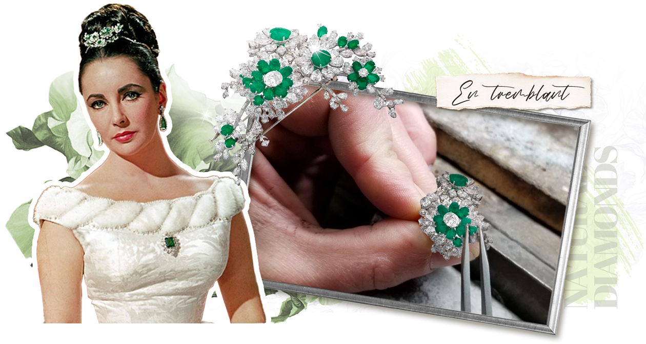 闪耀的颤动之美