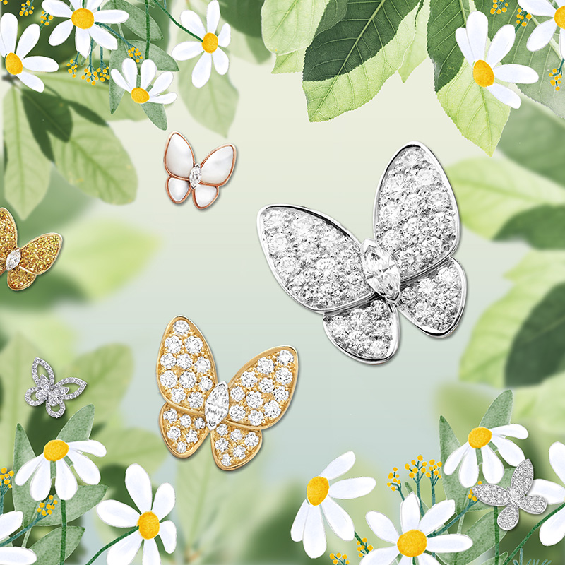 万物闪耀，蜕茧成蝶