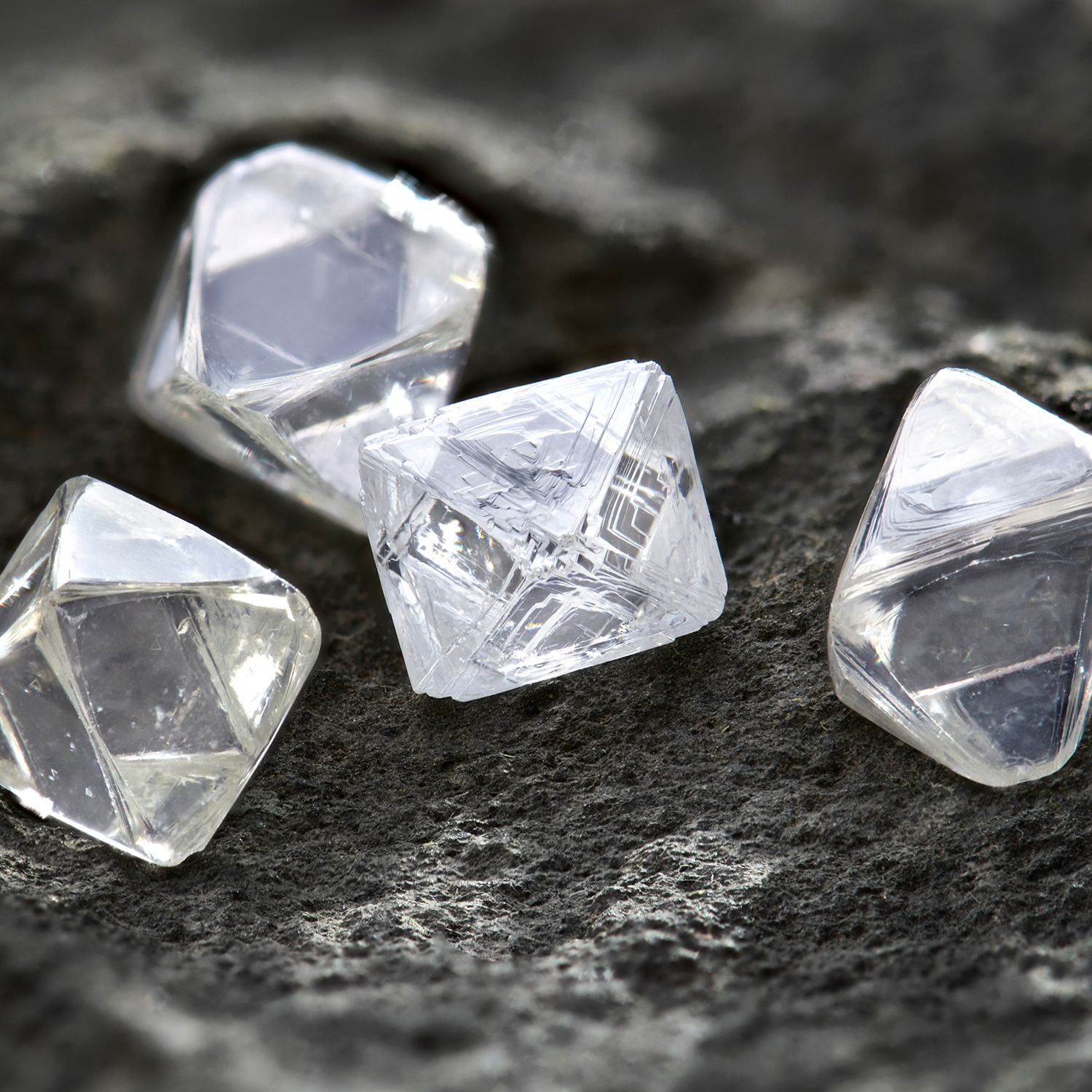 天然钻石协会与多家知名珠宝品牌伙伴达成战略合作 同促行业发展，共筑“天然钻石梦”