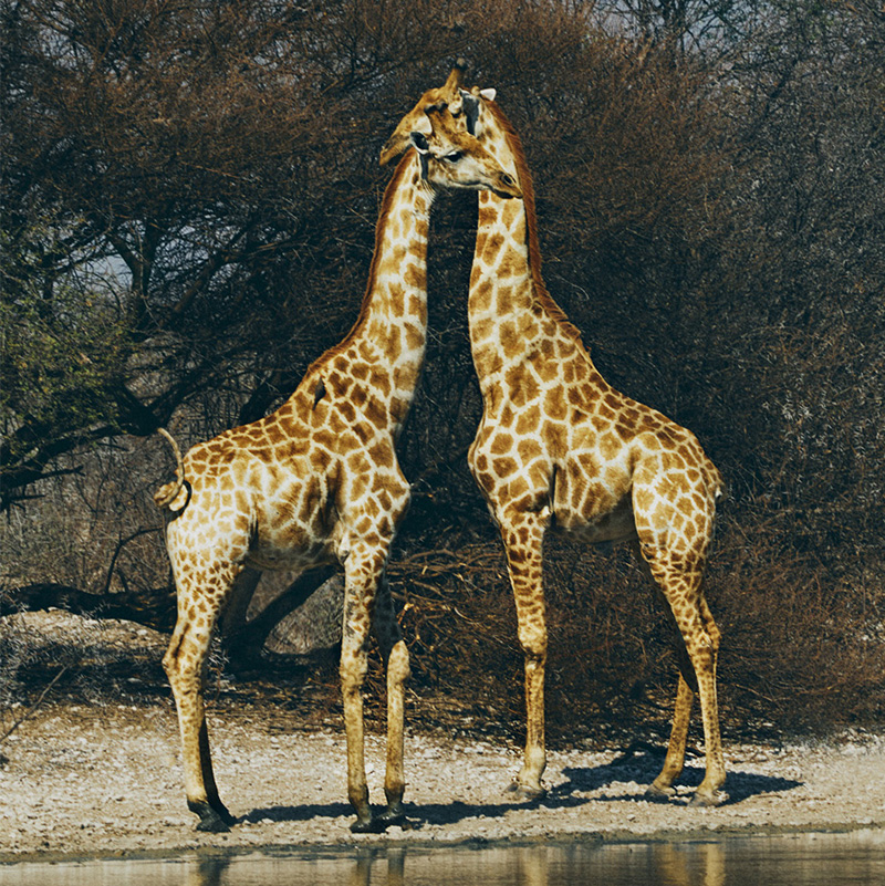 携手并进，益起守护