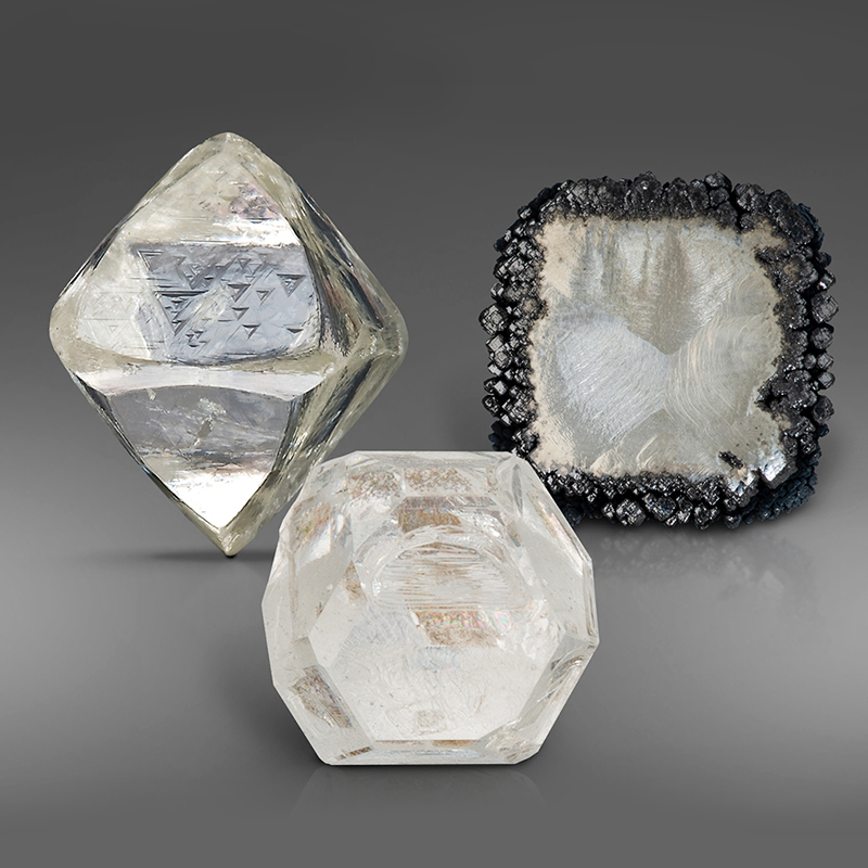 拨开迷雾，探寻天然和培育的真相