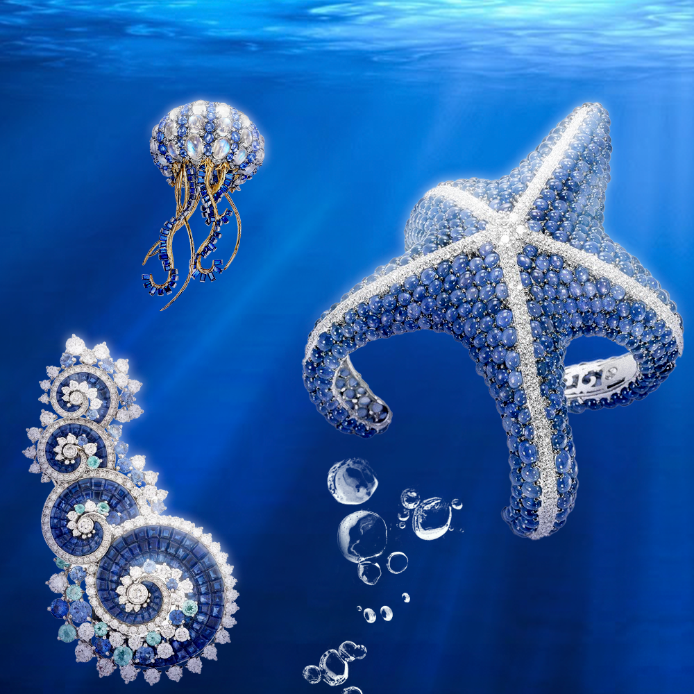 潜入奇妙海底动物「饰」界