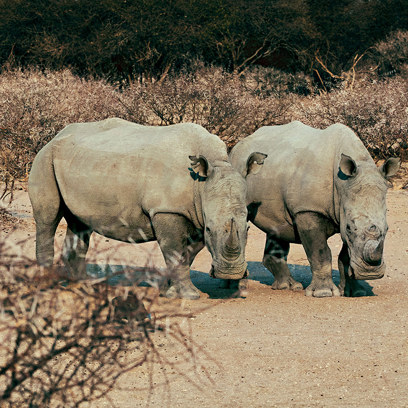 肩负责任，守护承诺