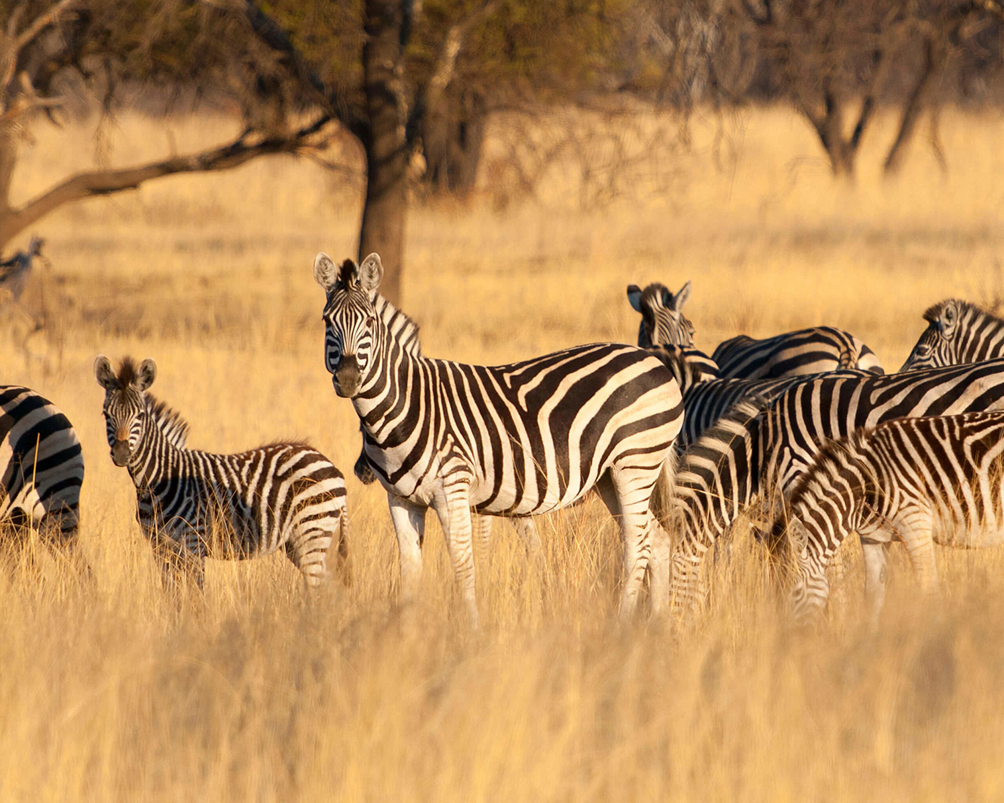 源于自然，取于自然，用于自然，倡导可持续天然钻石开采