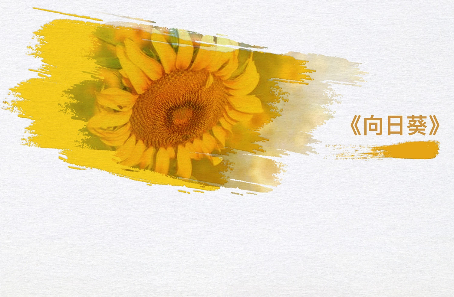 梵高《向日葵》Harry Winston Sunflower Petite钻石耳环