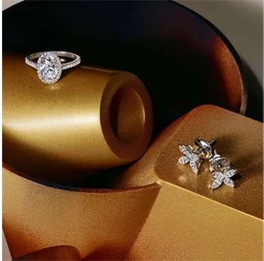 Tiffany & Co. 蒂芙尼Victoria 系列