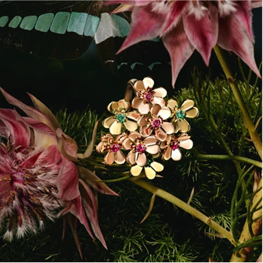 Van Cleef & Arpels 梵克雅宝