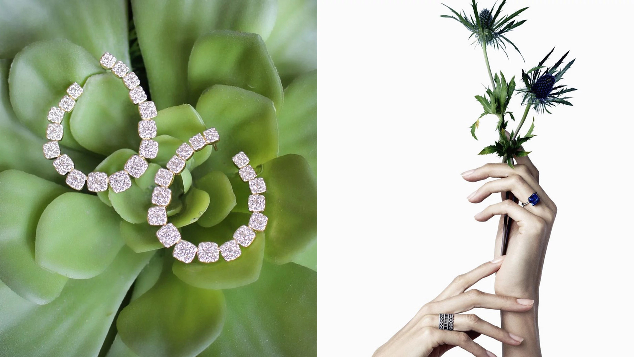 一窥姿态万千的时装周，勾勒创新时代下的自然法则