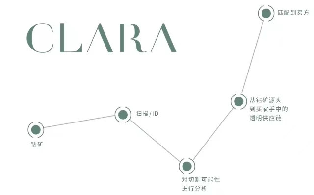 Clara公司的运营方式