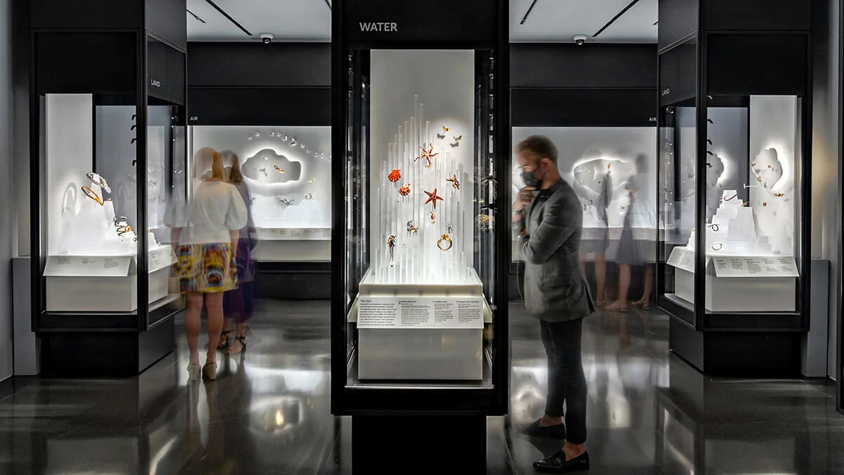 天然钻石环游记——美国自然历史博物馆 “美丽生物”主题展