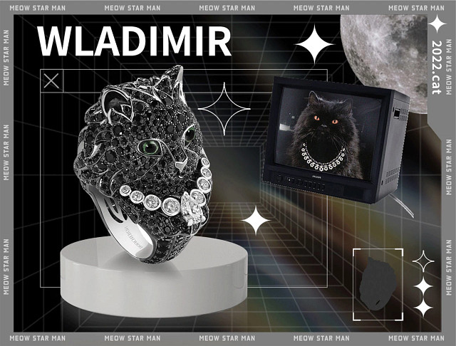 宠物猫Wladimir为宝诗龙拍摄的天然钻石珠宝广告