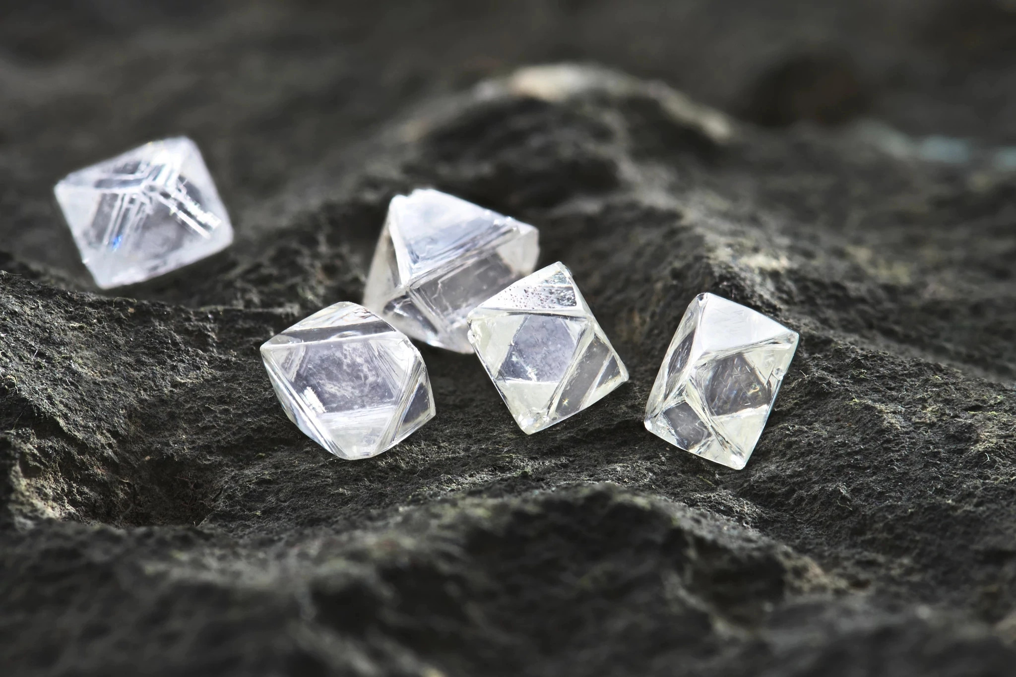 打破自我局限，展开人生新篇章