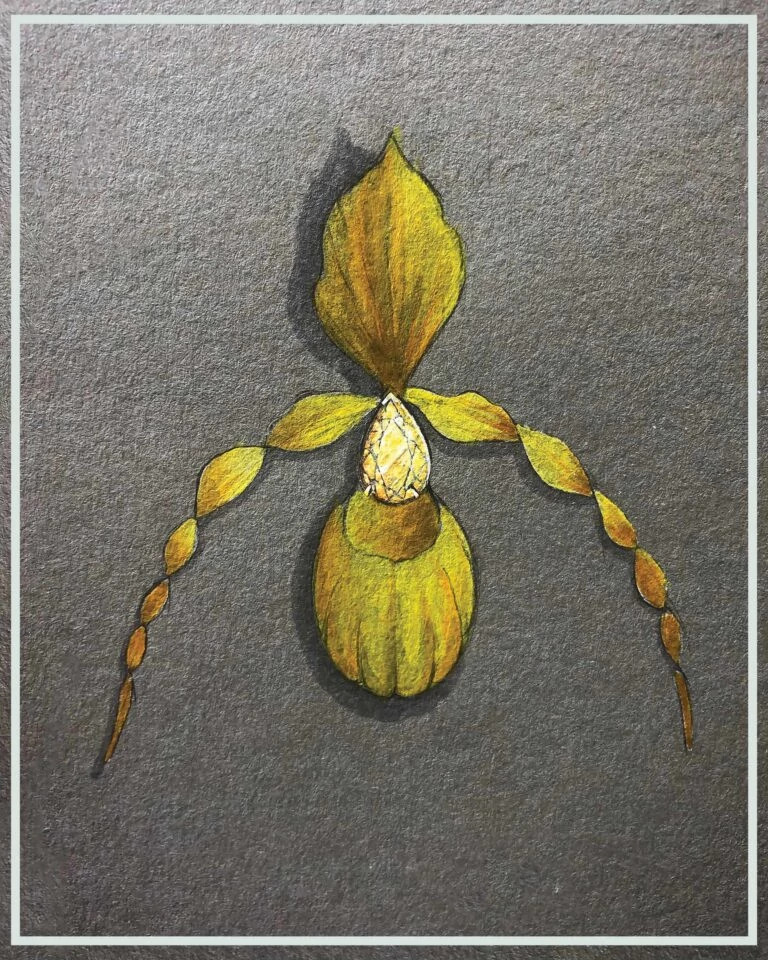 兰花黄钻素描图