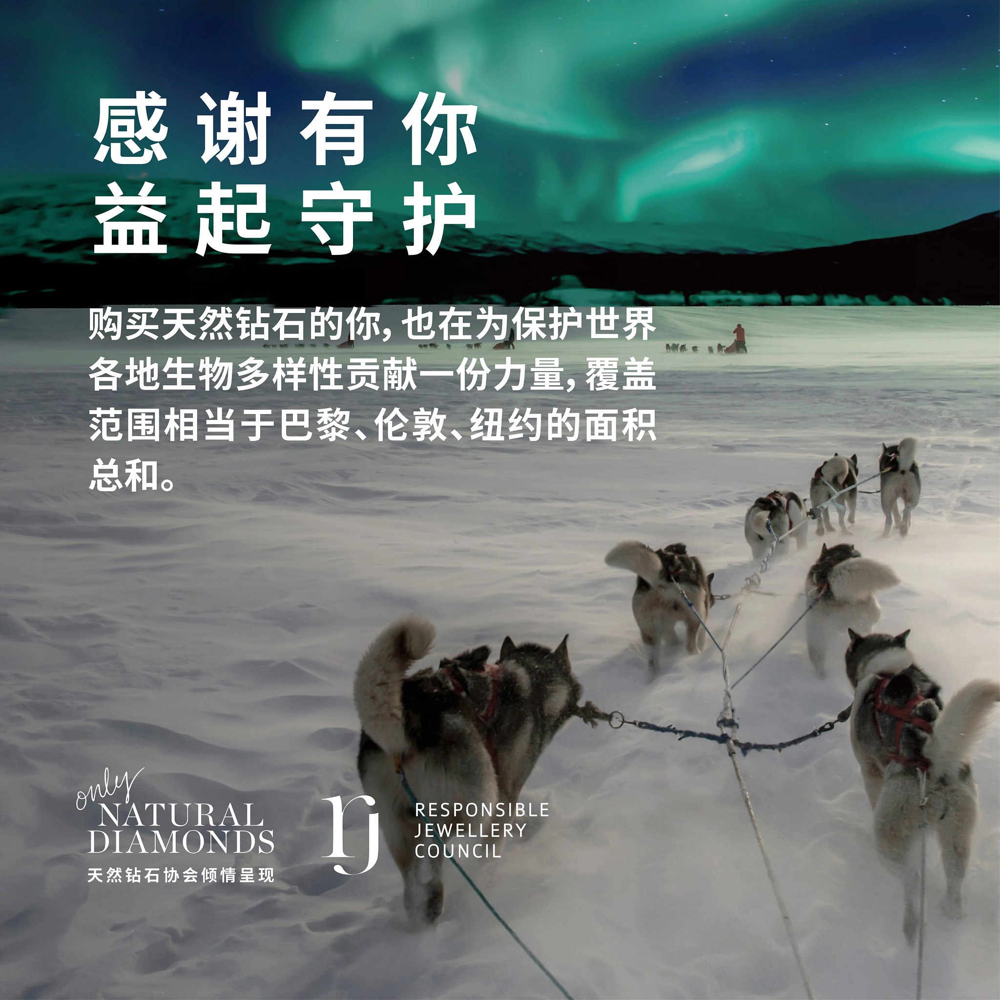 蓄势待发，欣欣向荣