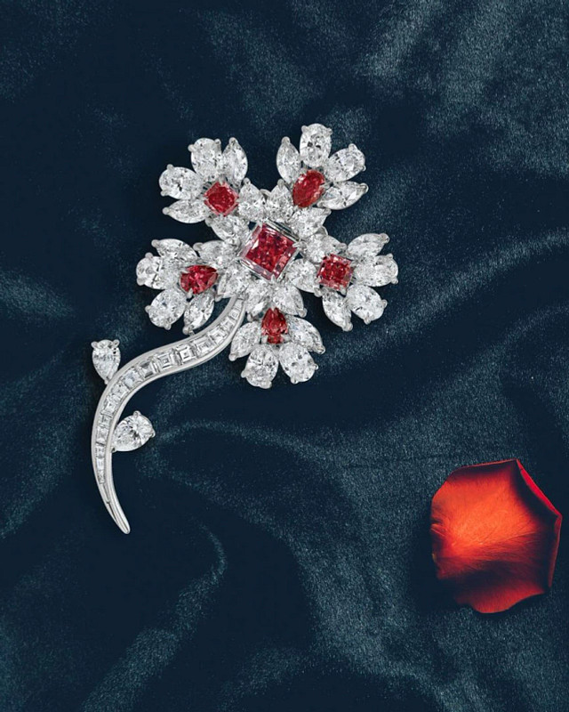 The Red Winter Flower胸针
