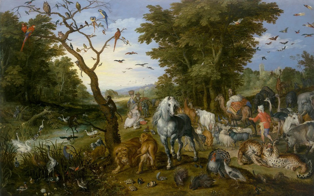 欢迎来到耀眼的钻石动物王国