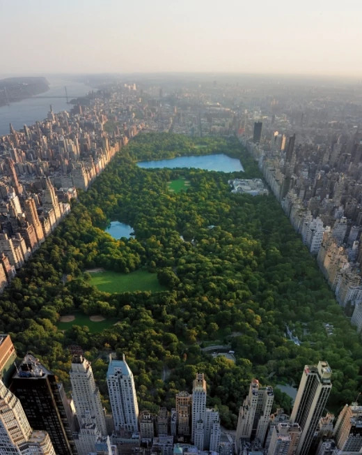 海瑞温斯顿Central Park Mosaic耳环及戒指