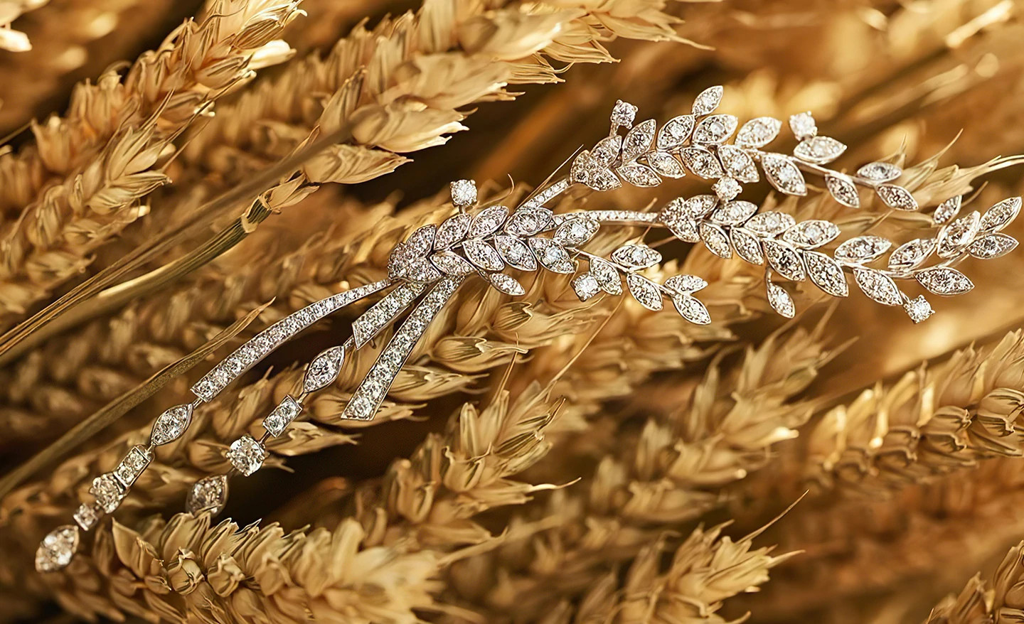 麦穗珠宝，收获耀眼的芬芳