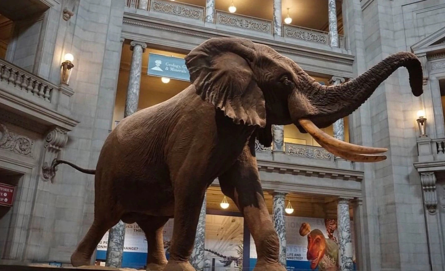 天然钻石环游记——奇妙的史密森尼博物馆