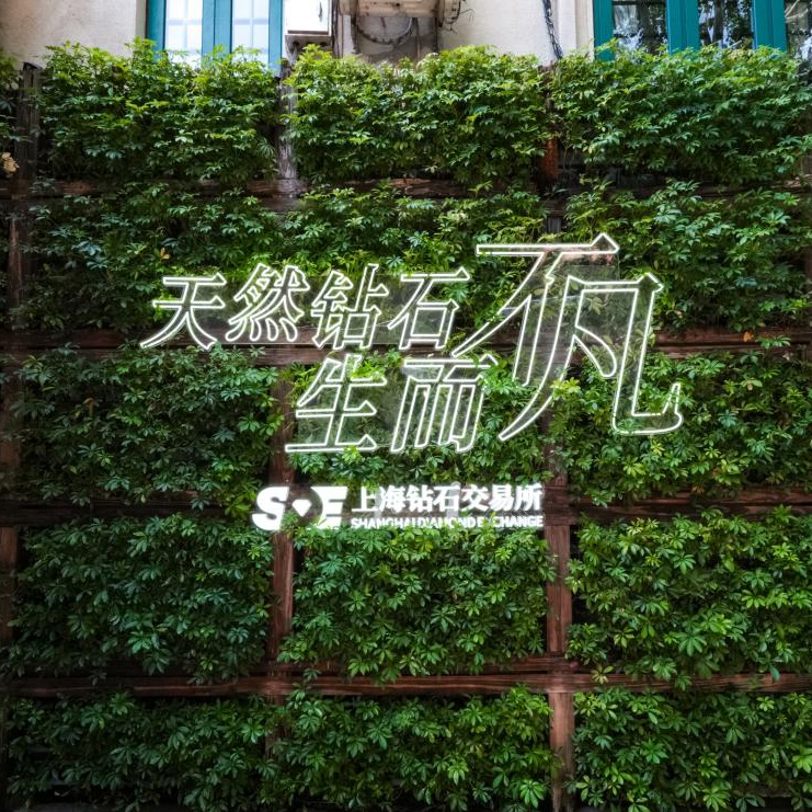 天然钻石市场回暖：稀缺性、保值性与情感价值成投资新焦点